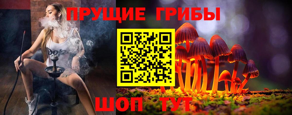 Галлюциногенные грибы мицелий Торжок